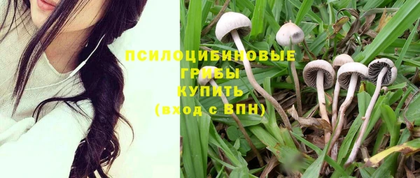 прущая мука Арсеньев